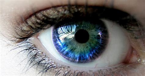 Awesome Facts About Human Eyes Awesome Amazing Facts