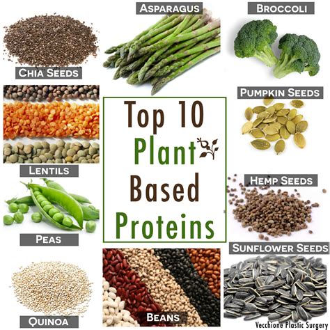 Plant Based Protein