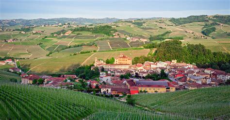 Luigi pira barolo del comune di serralunga. Barolo - A Guide To Barolo Red Wines From Italy | Wine 101