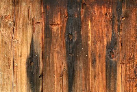Burnt Rustic Barn Board Vertical Wood Tree Wall Mural Ds5421