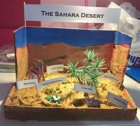 Sahara Desert Diorama Biomes Project Ecosystems Projects Science