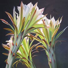 Get the best deal for dwarf cacti full sun cactus & succulent plants from the largest online selection at ebay.com. 120 My Art ideas | oil on canvas, art, limited edition prints