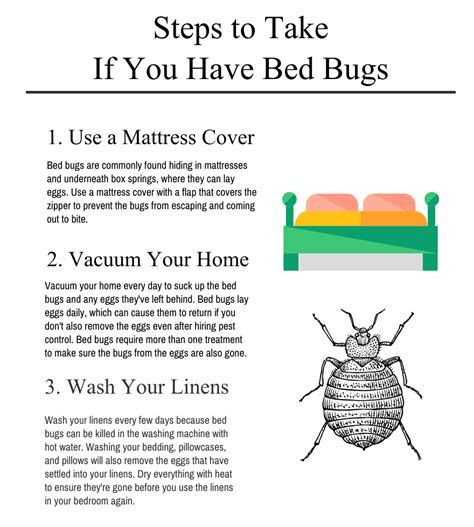 Steps To Take If You Have Bed Bugs Infographic Bed Bugs Bugs Bed