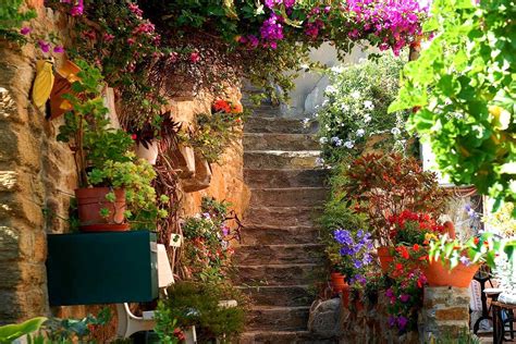 Bormes Les Mimosas The Flower Village On The French Coast