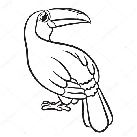 Toucan singing coloring page to color, print and download for free along with bunch of favorite toucan coloring page for kids. Toucan Bird Drawing at GetDrawings | Free download