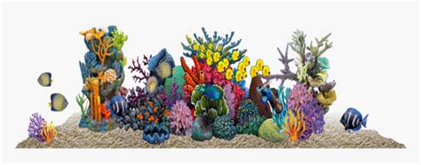 Coral Reef Png Transparent Png Transparent Png Image PNGitem