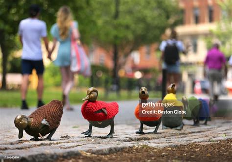 The Make Way For Ducklings Statues Wear The Colors Of The Inclusive News Photo Getty Images
