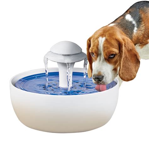 Collections Etc Automatic Pet Water Fountain With Charcoal Filter And