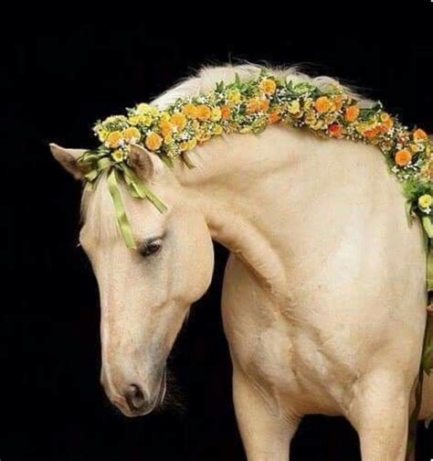 Pretty Pale Palomino Horse With Orange Yellow And Gold Flowers Braided