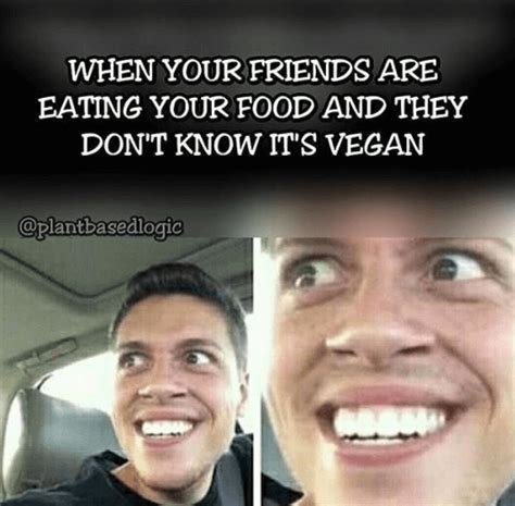 17 Of The Best Vegan Memes From 2017