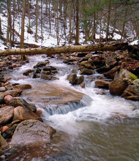 Images Gratuites Paysage Eau La Nature Forêt Roche Cascade