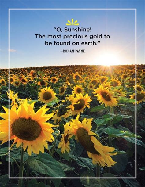 Sunshine is defined as the light and heat that come from the sun. 40 Best Sunshine Quotes - Wise and Inspirational Sayings ...