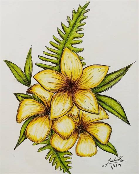 Pin By Cassandra Holmes On Artistry Flower Art Drawing Color Pencil