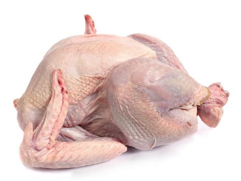 Want to know why i feed my dogs raw food or why i use certain ingredients? Raw turkey, side view stock image. Image of preparing ...