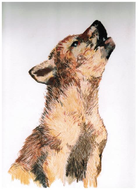 Wolf Cub Drawing At Getdrawings Free Download