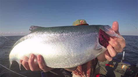 Summer Coho And Steelhead Trolling Lake Michigan 2017 Youtube