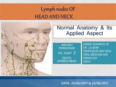 Lymph Nodes Of Head And Neck Normal Anatomy And Its Applied Aspect