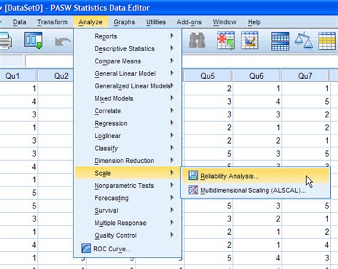 How do i test qualitative hypothesis in spss? Cronbach's Alpha (α) using SPSS