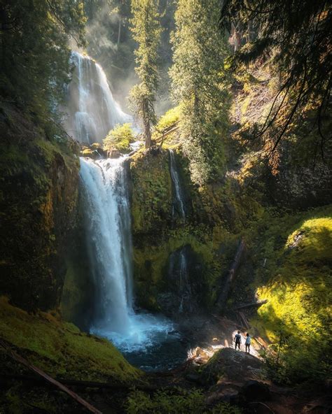 Scott Kranz Seattle On Instagram Stepping Into The Light