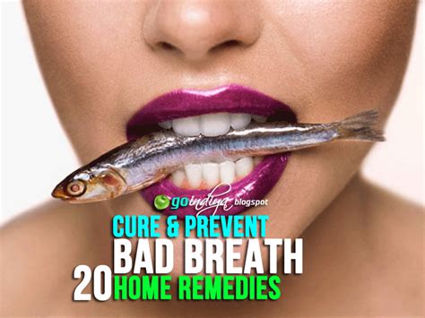 20 natural home remedies for bad breath halitosis prevent bad breath naturally natural home