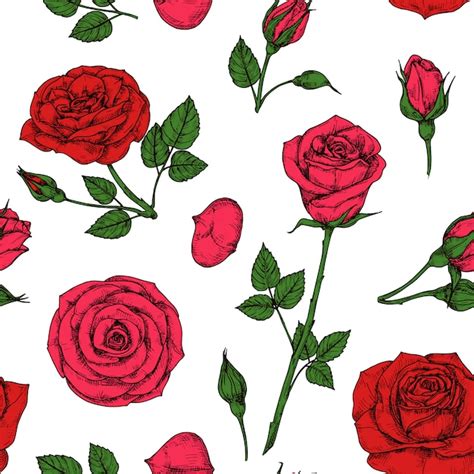 Motif De Roses Bouquet De Fleurs Rose Fleur Rouge Modèle De Dessin