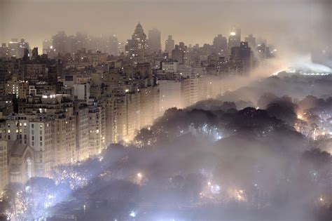 Mist Cityscape New York City Building Trees Lights Night