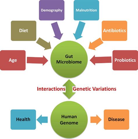 2 Complex Interplay Of The Human Gut Microbiome And Human Genome In