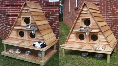 Customize our insulated cat house to your needs. Insulated Outdoor Cat Houses Multiple Outdoor Cat House ...