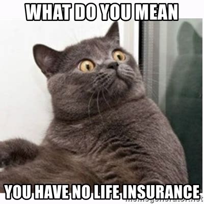 16 funny insurance memes that we can all relate to. Insurance Memes: 94 Funniest Memes Ever Created!