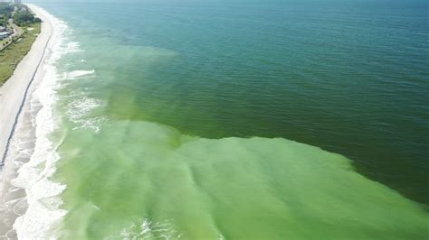 Drone Footage Shows Red Tide Conditions In Longboat Key Unmanned