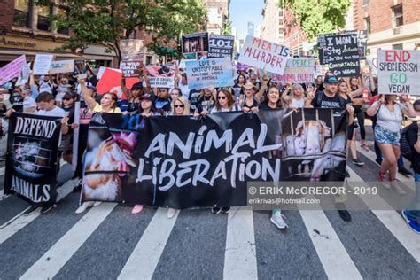 Hundreds Of Animal Liberation Activists Gathered For The Official 2019