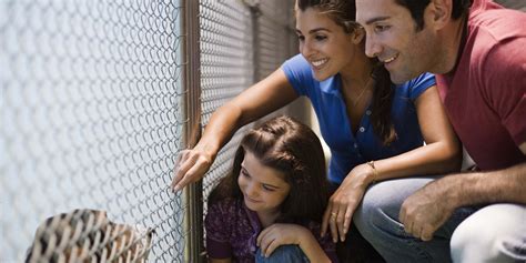 2,110 likes · 43 talking about this. Too Many People Are Still Not Adopting Animals | HuffPost