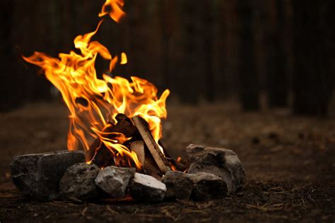 Fueling The Flames Your Guide To The Best Campfire Wood Beyond The Tent