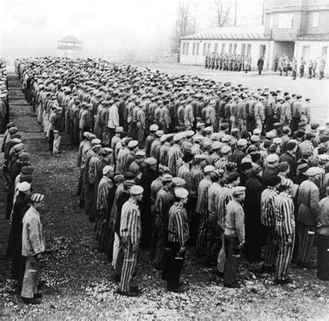 Kz Buchenwald Neue Grabungen Nach Stollen Voller Nazi Schätze Welt