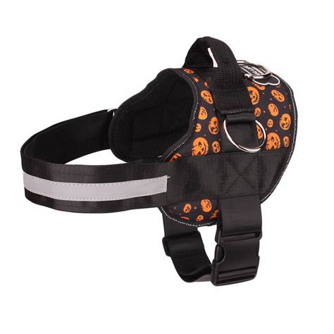 Limited Edition Joyride Harness Save 15