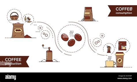 Vector Illustration Of A Coffee Production Process Coffee Production