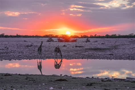 10 Best Botswana And Namibia Safaris Deals 20202021 Tourradar