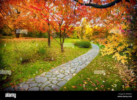 Pathway In Autumn Stock Photo Alamy