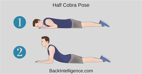 L3 L4 L5 Back Pain Exercises Exercise