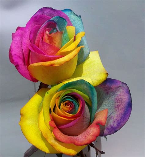 1000 Images About Decorative Tie Dye Flowers On Pinterest Pastel