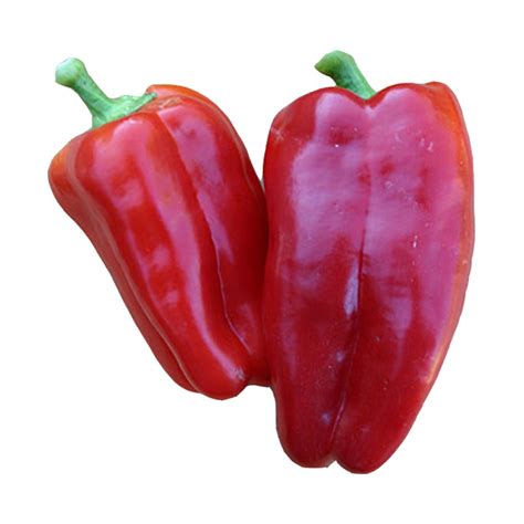 Cabernet Sweet Pepper Plants for Sale | Free Shipping
