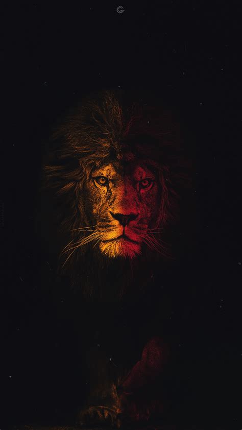 Galatasaray'ın en güzel aslan logosunu telefonuna duvar kağıdı yap. Lion Aslan Galatasaray Duvar kağıdo | Poertre resimleri ...