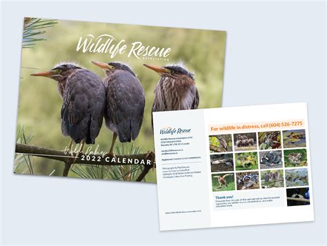 2022 Wildlife Calendar Wildlife Rescue Association Of Bc
