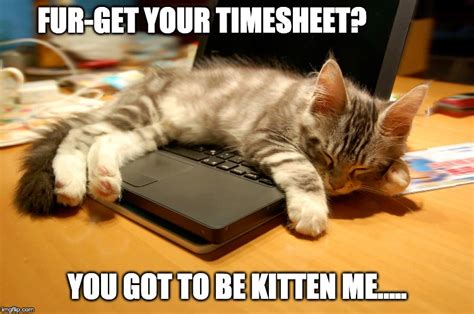 5 Easy And Effective Ways To Automate Your Timesheet Reminders Time
