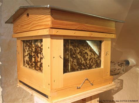 Comment se débarrasser des abeilles, guêpes dans la maison, dans la paroi, le pays.nous savons tous, comme cela peut être piqûres d'abeilles désagréables, guêpes ou frelons.et il arrive, що агресивні комахи кусають прямо біля рідної. Maison de la Rance. Les abeilles s'exhibent jusqu'au 15 ...