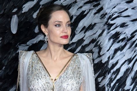 Angelina Jolie Adds Beekeeping To Her Many Skills