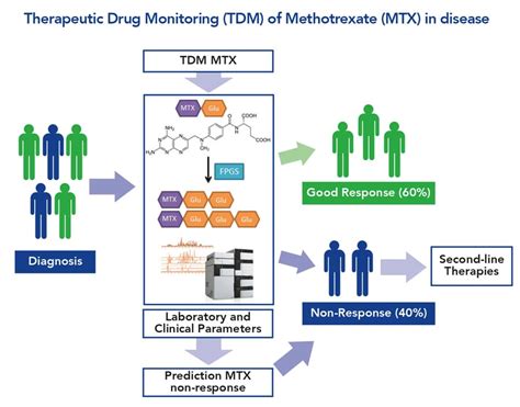 Therapeutic Drug Monitoring Of Methotrexate In Disease Research Outreach
