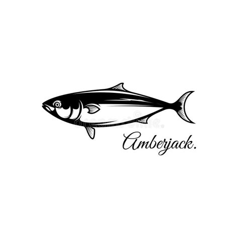 Silhouette Amberjack Fish Logo Icon Stock Vector Illustration Of