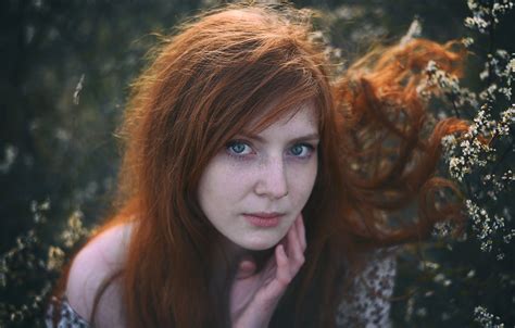 Обои взгляд девушка лицо портрет рыжая рыжеволосая длинные волосы картинки на рабочий стол