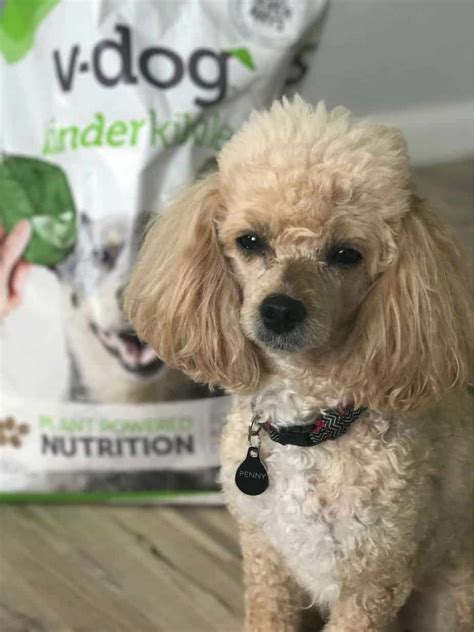 While vegan dog foods are technically fine for dogs, it also depends on the nutritional suitability of those foods. Vegan Dog Food: The Science, Our Experience & Best Brands